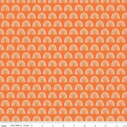 Chasing Rainbows in Orange from the Two by Two Collection - Riley Blake Fabrics