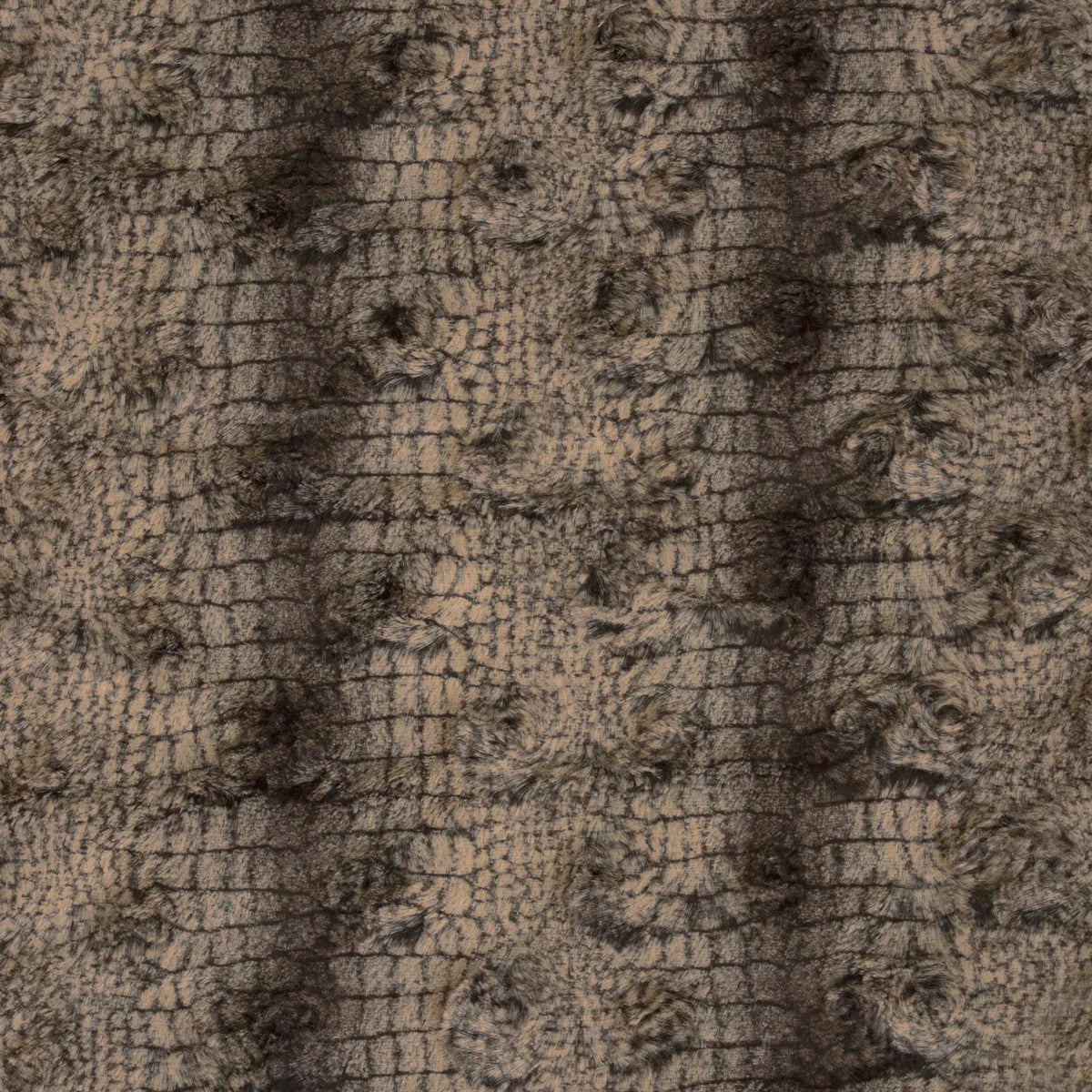 Minky- Luxe Cuddle Crocodile in Brown and Camel from EZ Fabrics