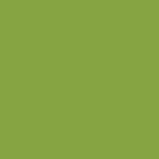 Tula Pink Solids - Matcha from FreeSpirit Designer Essentials