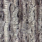 Minky- Luxe Cuddle Crushed Gator in Black from EZ Fabrics