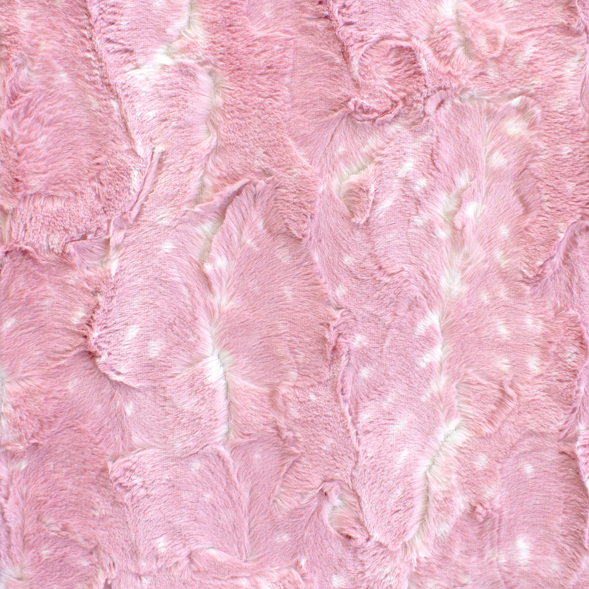 Minky- Luxe Cuddle Doe Snuggle ROSEWATER from EZ Fabrics