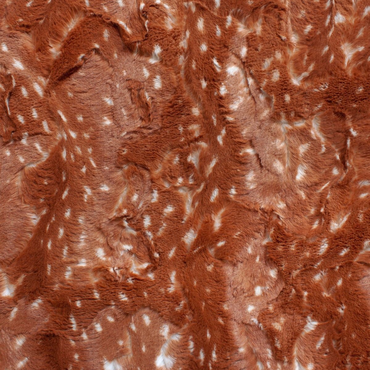 Minky- Luxe Cuddle Doe Snuggle SPICE from EZ Fabrics