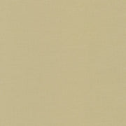 Limestone Kona Cotton Solids from Robert Kaufman by the Yard
