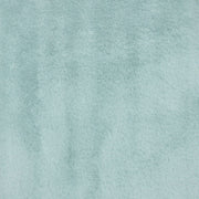 Minky -Lux Snuggle Kodi RAIN From EZ Fabric