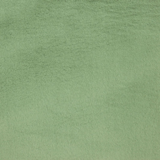 Minky -Lux Snuggle Kodi RESEDA From EZ Fabric