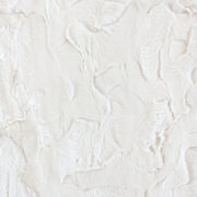 Minky -Lux Snuggle New York NATURAL From EZ Fabric
