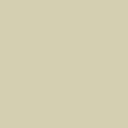 Cashew Kimberbell Solid from Maywood Studio - 100% Cotton