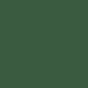 Christmas Cactus Green Kimberbell Solid from Maywood Studio - 100% Cotton