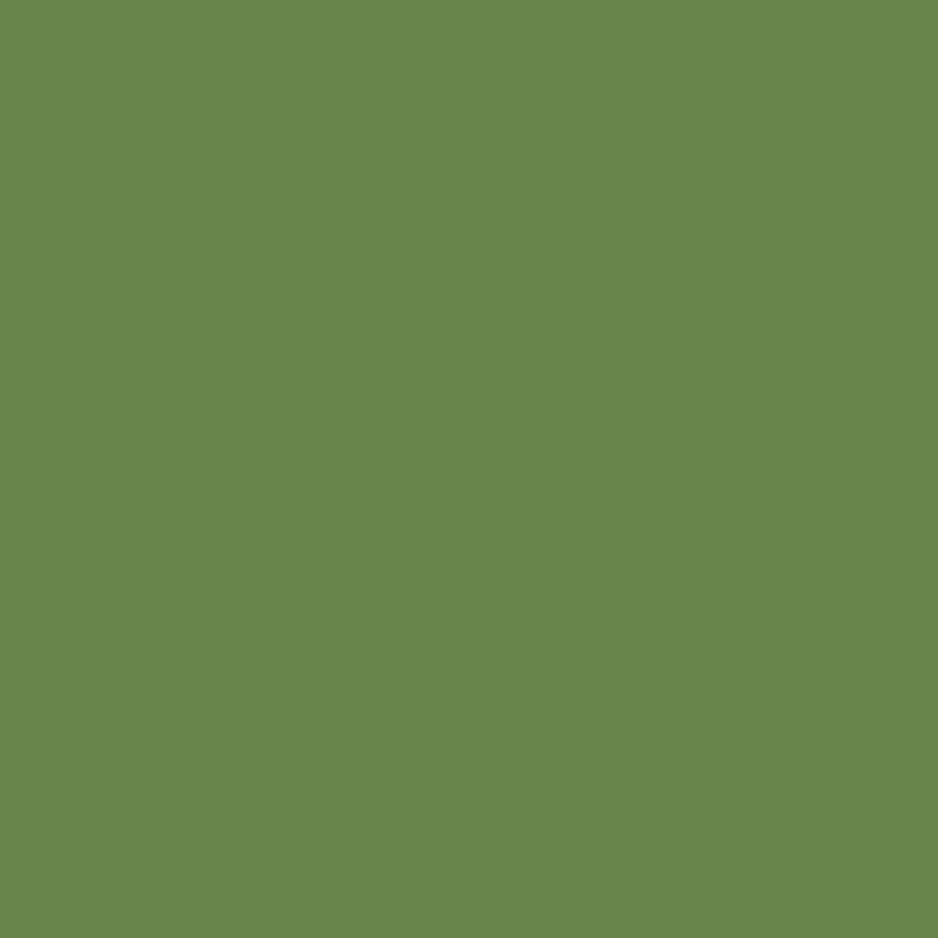 Mountain Meadow Green Kimberbell Solid from Maywood Studio - 100% Cotton