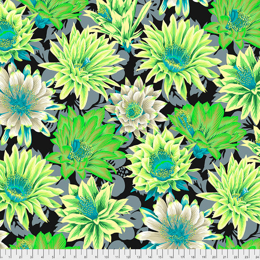 Kaffe Fassett Fabrics - Cactus Flower - Contrast From FreeSpirit Fabrics