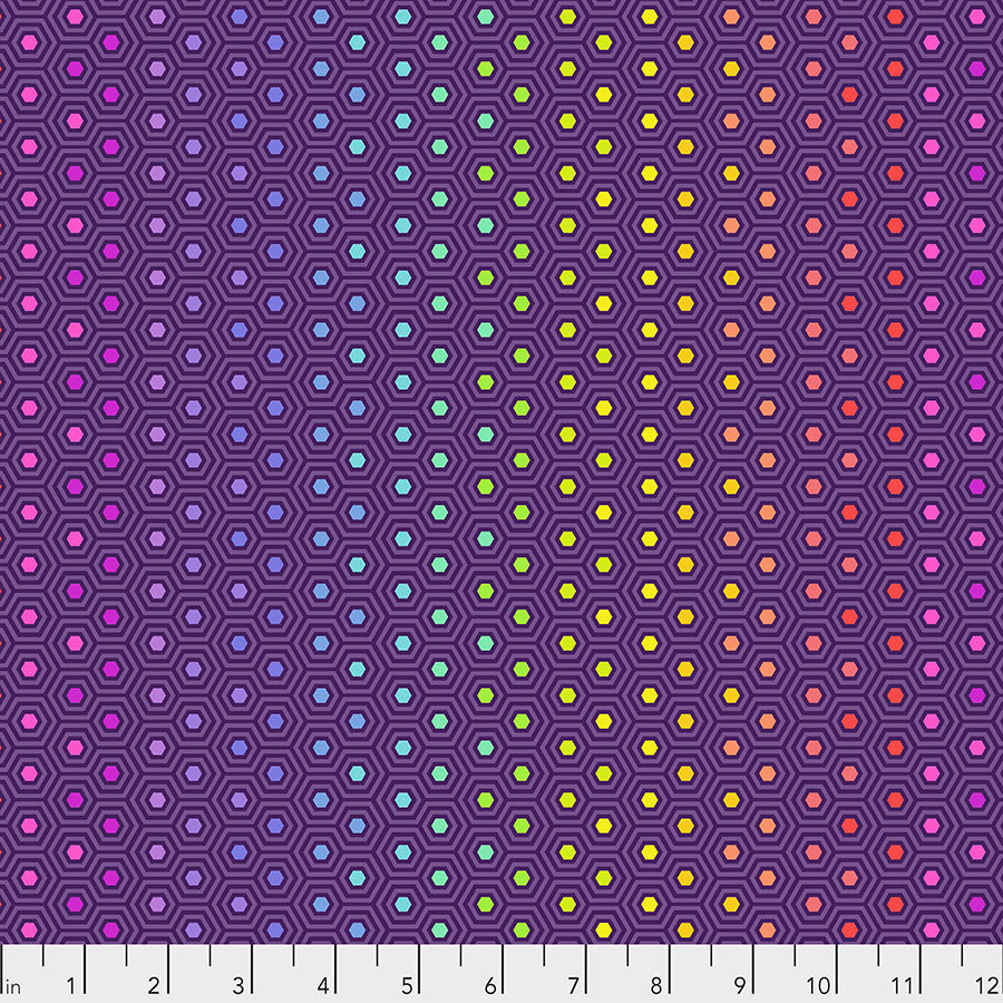 Tula Pink Starling Hexy Rainbow from True Colors Collection
