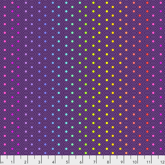 Tula Pink Starling Hexy Rainbow from True Colors Collection