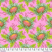 Tula Pink - Friends & Anemones - Coralline  From the Floral Reef Collection