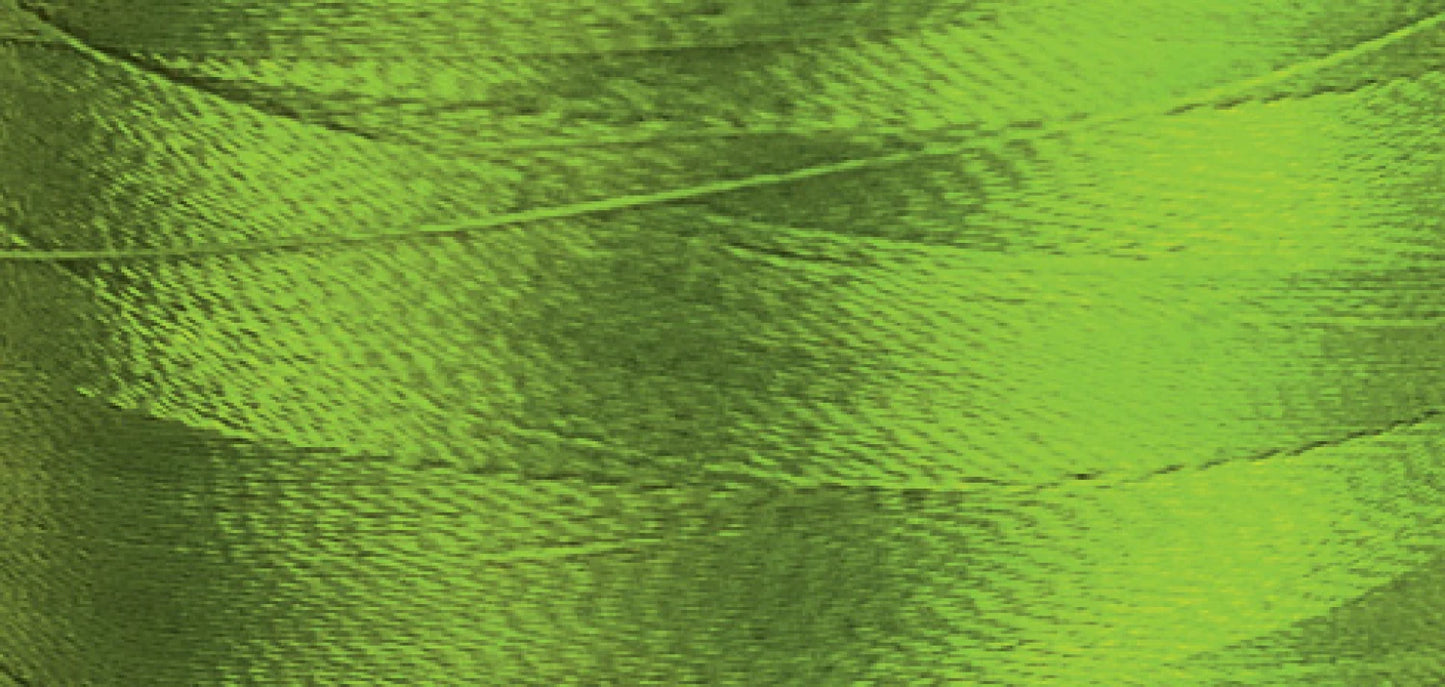 Quilter's Select Para-Cotton Poly 80wt 400m  MINERAL GREEN