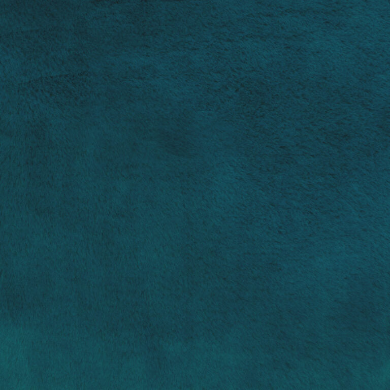 Minky -Lux Snuggle Whispy OCEAN From EZ Fabric