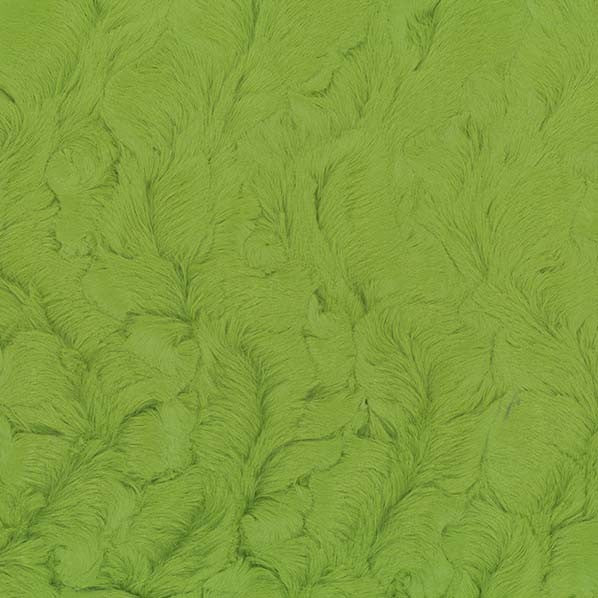 Minky -Lux Snuggle Bella FERN From EZ Fabrics