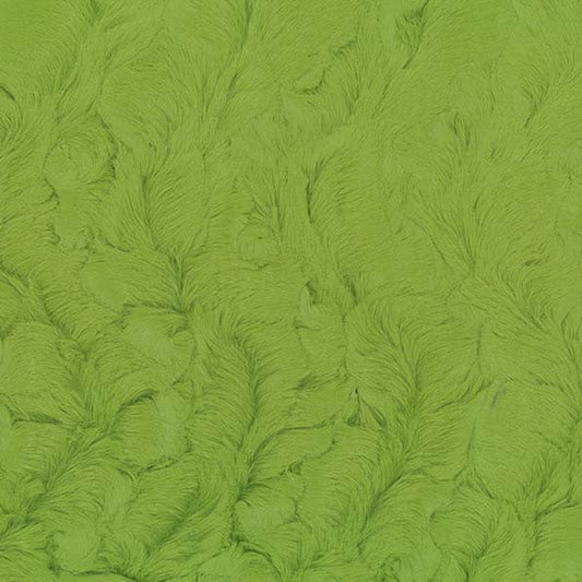 Minky -Lux Snuggle Bella FERN From EZ Fabrics