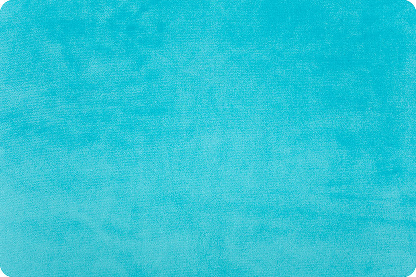 MINKY – 90” Extra Wide  C390 BELIZE Smooth Cuddle From Shannon Fabrics