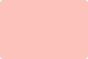 MINKY – 90” Extra Wide  C390 BLOSSOM Smooth Cuddle From Shannon Fabrics