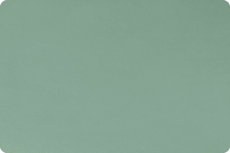 MINKY – 90” Extra Wide  C390 JUNIPER Smooth Cuddle From Shannon Fabrics