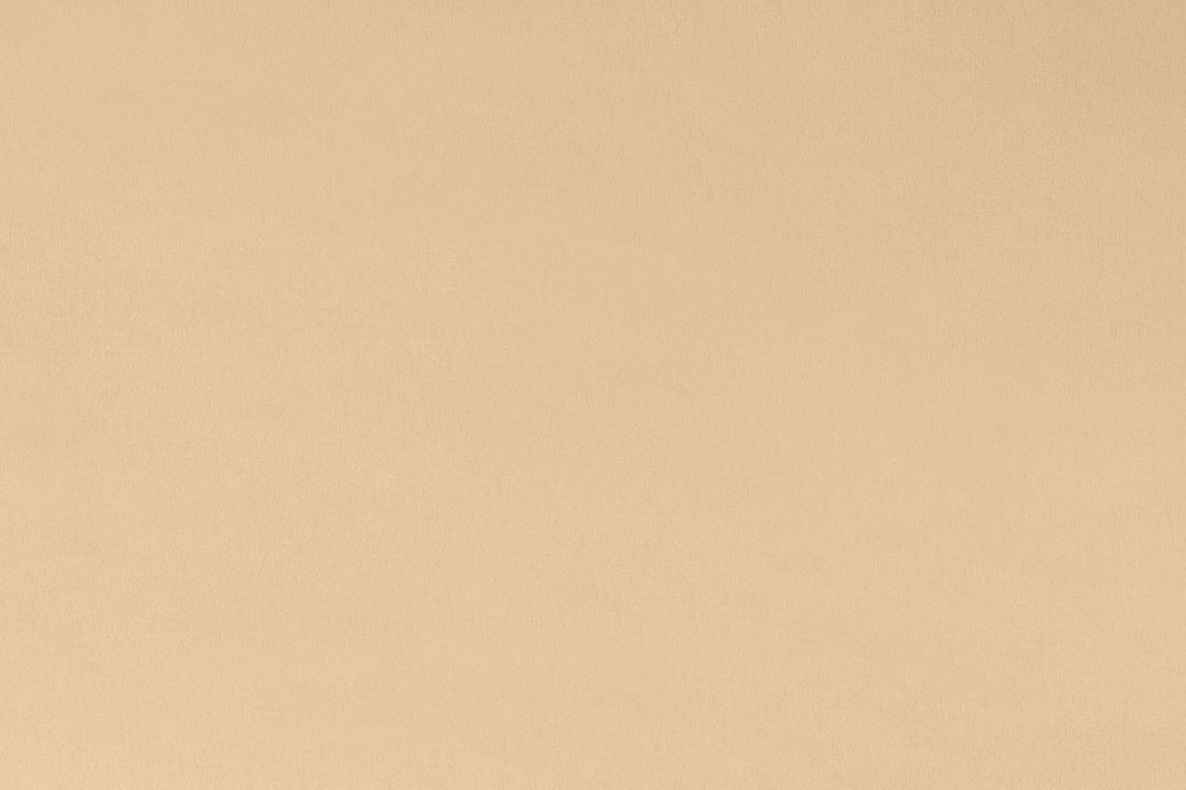 MINKY – 90” Extra Wide  C390 LATTE Smooth Cuddle From Shannon Fabrics