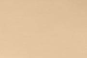 MINKY – 90” Extra Wide  C390 LATTE Smooth Cuddle From Shannon Fabrics