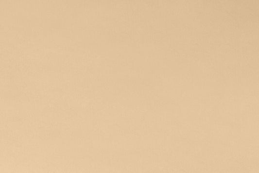 MINKY – 90” Extra Wide  C390 LATTE Smooth Cuddle From Shannon Fabrics