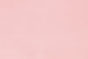 MINKY – 90” Extra Wide  C390 ROSEWATER Smooth Cuddle From Shannon Fabrics