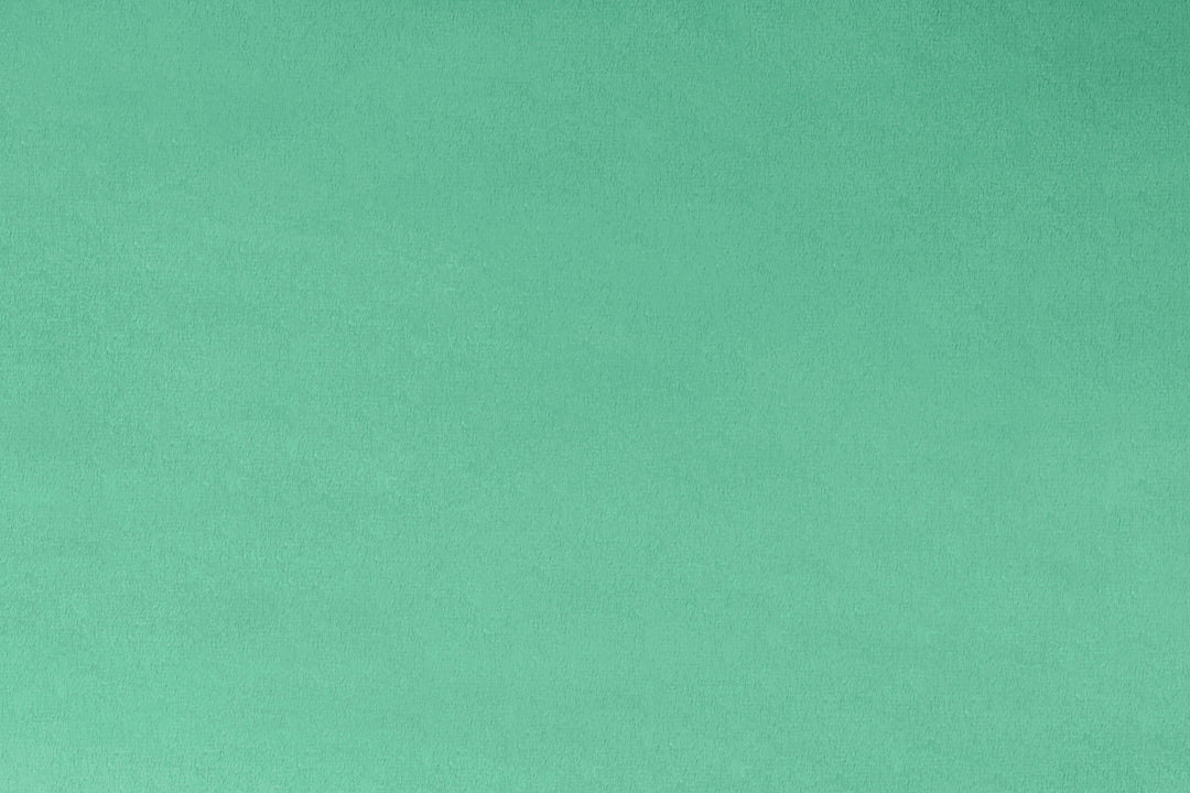 MINKY – 90” Extra Wide  C390 SPEARMINT Smooth Cuddle From Shannon Fabrics