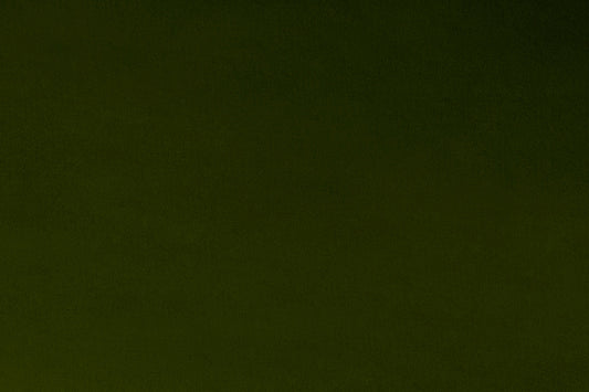 Minky - Loden Solid Cuddle 3 Smooth Minky