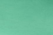 Minky - Spearmint Solid Cuddle3 60" Wide Smooth Minky