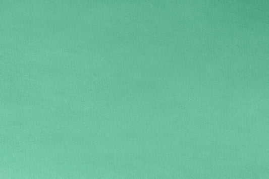 Minky - Spearmint Solid Cuddle 3 Smooth Minky