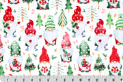Cloud Cuddle Minky - DISCONTINUED- Gnomes Cloud Cuddle Multi Double Sided Minky From Shannon Fabrics
