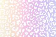 Cloud Cuddle Minky - Leopard Rainbow Cloud Cuddle Pastel Double Sided Minky From Shannon Fabrics