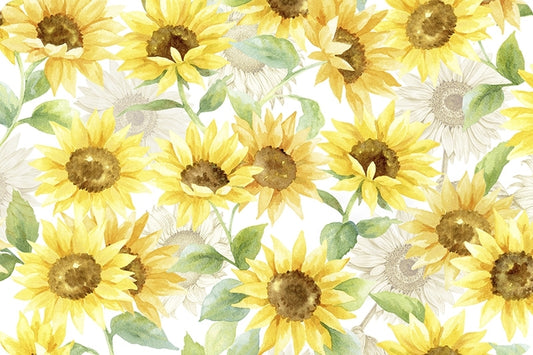 Cloud Cuddle Minky - Sunflower Cloud Cuddle Sunshine Double Sided Minky From Shannon Fabrics