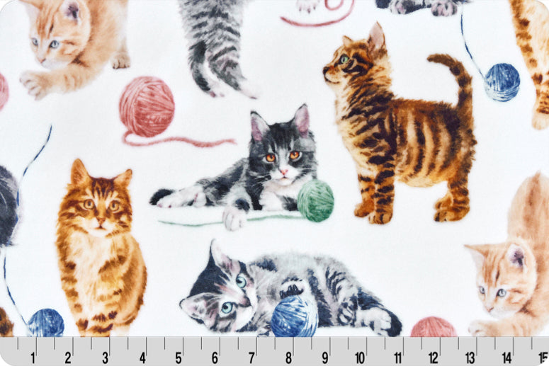 Minky - Cat Nip Digital Cuddle Multi From Shannon Fabrics - 60" Wide