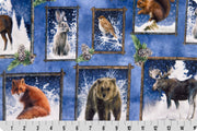 Minky - Frosty Frames Digital Cuddle Multi From Shannon Fabrics - 60" Wide