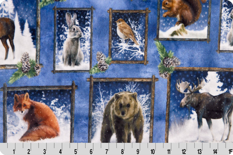 Minky - Frosty Frames Digital Cuddle Multi From Shannon Fabrics - 60" Wide