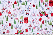 Minky - Gnome Express Digital Cuddle Scarlet From Shannon Fabrics - 60" Wide