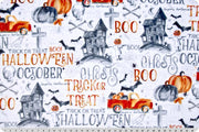 Minky - Hallows Eve Digital Cuddle Black From Shannon Fabrics - 60" Wide