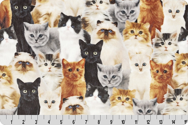 Minky - Here Kitty Digital Cuddle Beige From Shannon Fabrics - 60" Wide