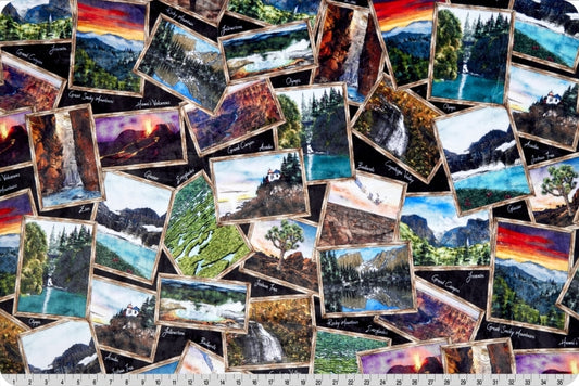 Minky - National Parks Digital Cuddle Black From Shannon Fabrics