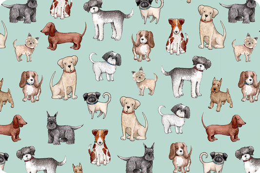 Minky - PUPPY LOVE Digital Cuddle Snow From Shannon Fabric