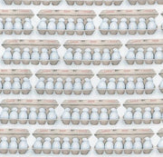 Realistic Egg Cartons from Kiss the Cook Collection for Robert Kaufman Fabric BY THE YARD - 100% Quilt Shop Cotton