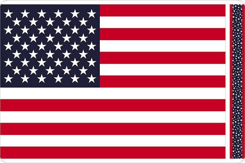 DISCONTINUED- DIGITAL PANEL Patriotic Flag Digital Cuddle® Minky from Shannon Fabrics- Approx 36"x60"
