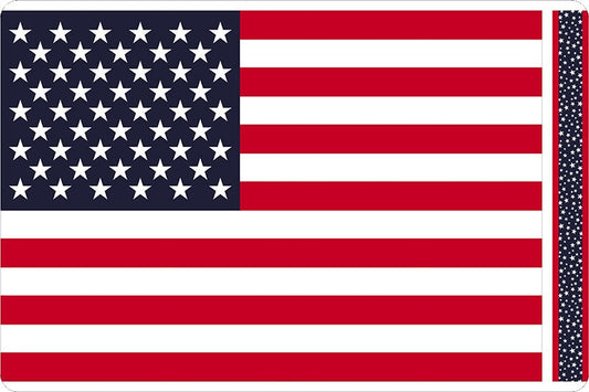 DISCONTINUED- DIGITAL PANEL Patriotic Flag Digital Cuddle® Minky from Shannon Fabrics- Approx 36"x60"