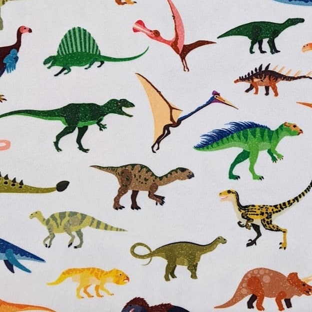 END of BOLT (23" x 60") - MINKY - Colorful Dinosaur Species Digital Cali Quilt Co Exclusive - 2.5mm pile