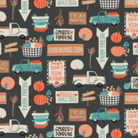 Minky - Pumpkin Patch in Charcoal from Camelot