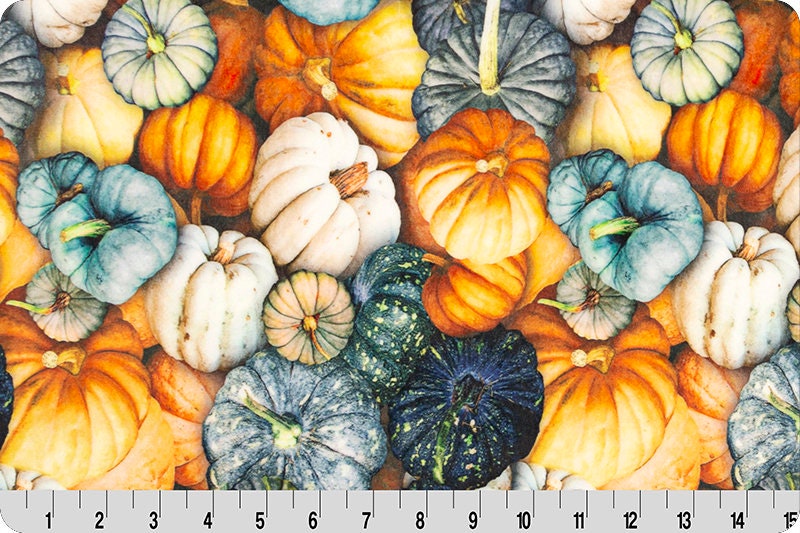 Minky - Hoffman Gourds Digital Cuddle Rust From Shannon Fabrics