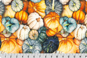 Minky - Hoffman Gourds Digital Cuddle Rust From Shannon Fabrics - 60" Wide